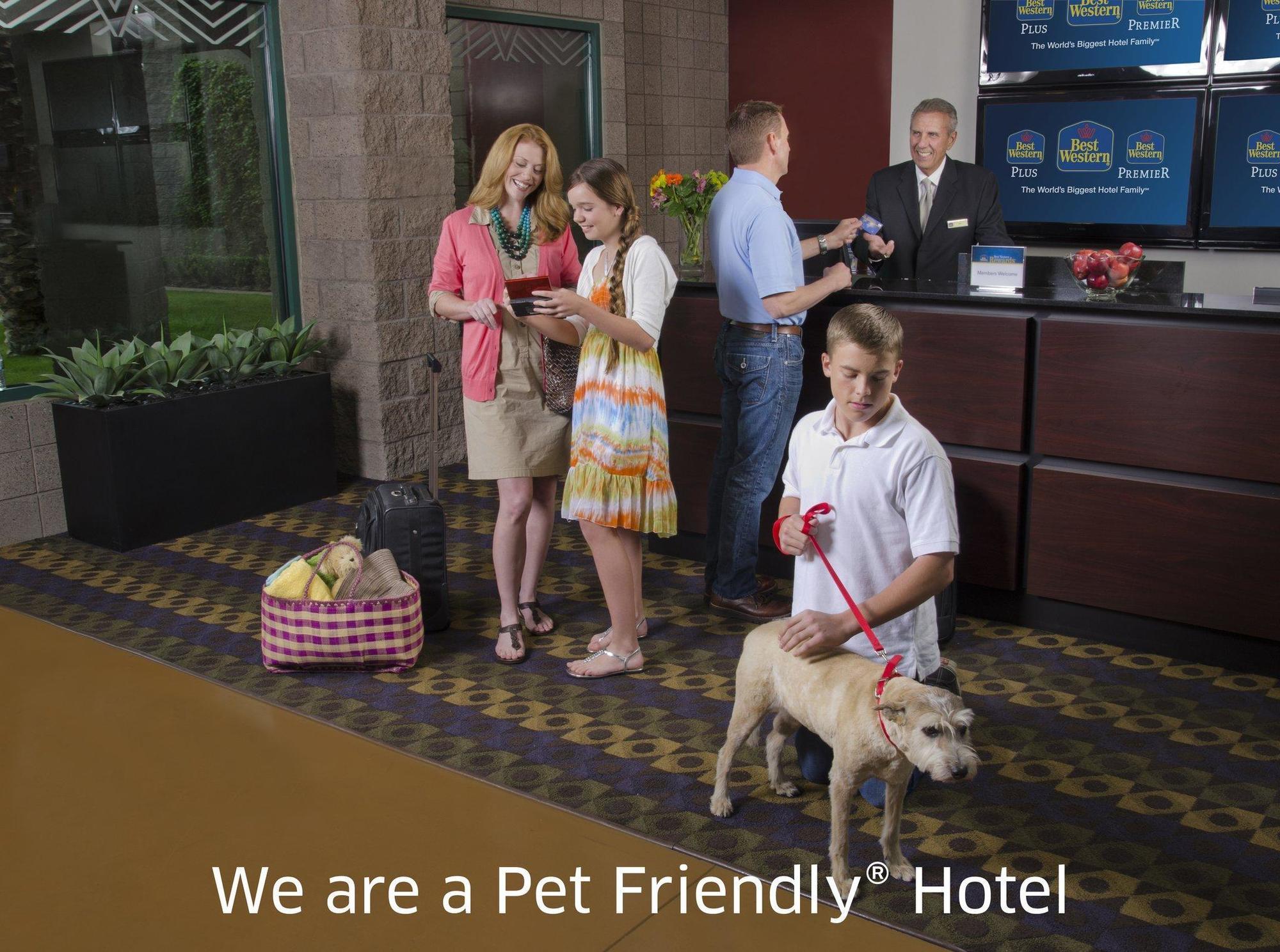 Quality Inn & Suites Phoenix Nw - Sun City Youngtown Eksteriør billede